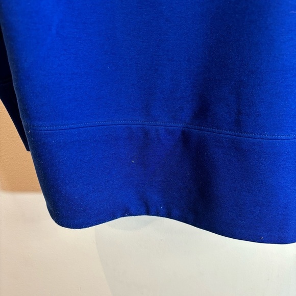 EILEEN FISHER Sz L Boxy Thick Jersey Knit Long Sleeve Crew Neck Top Sweatshirt - Picture 9 of 9